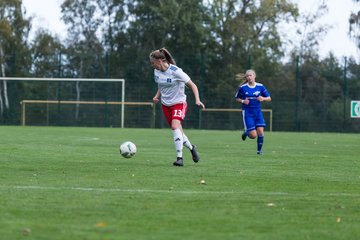 Bild 216 - B-Juniorinnen Hamburger SV - FC Neubrandenburg 04 : Ergebnis: 3:1